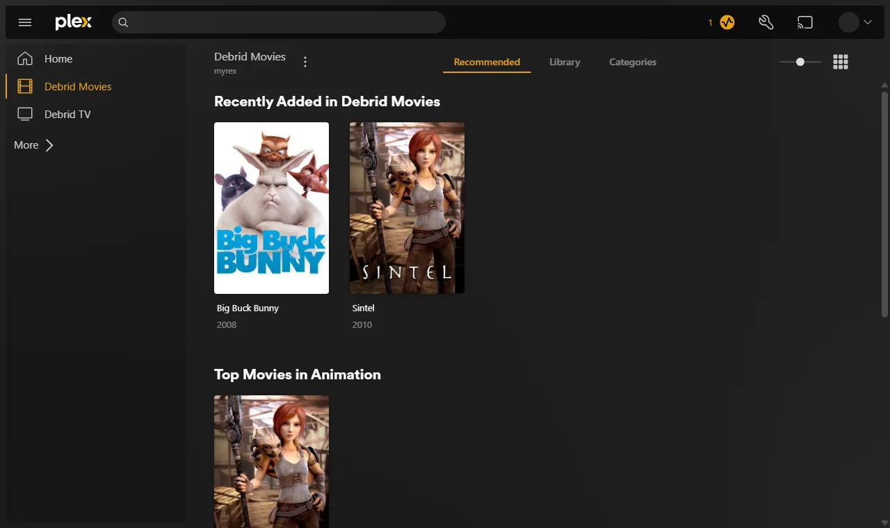 rex's Debrid Movies library in Plex