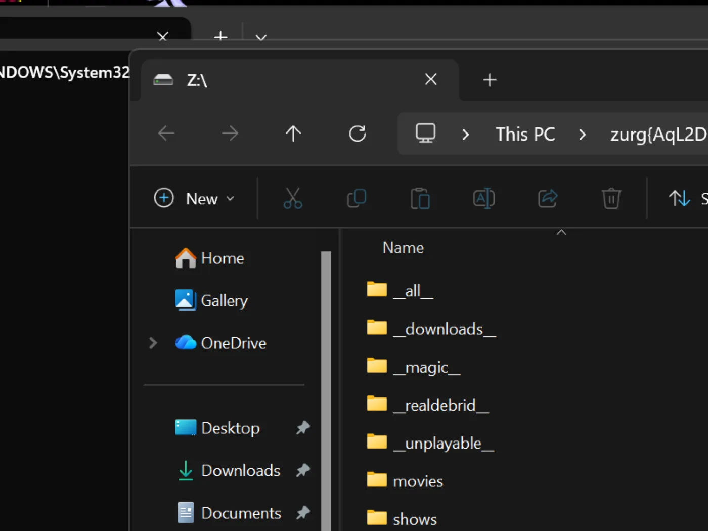 File Explorer at the Z: drive